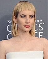 23rdAnnualCriticsChoiceAwards_Jan_2018_28729.jpg