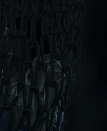 American_Horror_Story_S09E04_1080p_3775.jpg