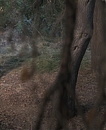American_Horror_Story_S09E08_1080p_3424.jpg