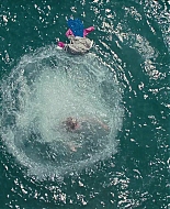 Wild_Child_2008_1080p_BluRay__00428.jpg
