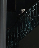 Wild_Child_2008_1080p_BluRay__03017.jpg