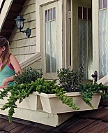 Aquamarine_2006_1080p_BluRay__01699.jpg
