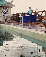 Aquamarine_2006_1080p_BluRay__01797.jpg