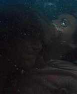 Aquamarine_2006_1080p_BluRay__01944.jpg