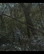 American_Horror_Story_S12E03_1080p__0575.jpg